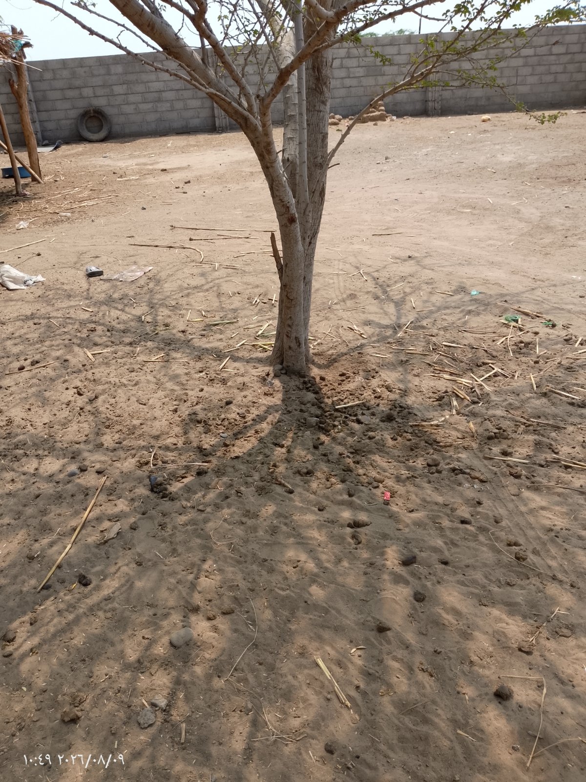 قبل
